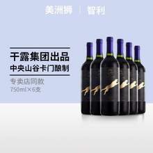 智利原瓶进口，COUGAR 美洲狮 柯诺苏酒庄 美乐干红葡萄酒750mL*6瓶