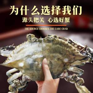 首鮮道 舟山特產(chǎn)液氮活凍梭子蟹 5-8兩大蟹 （4-6只）3斤裝
