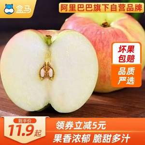 盒马鲜生 陕西嘎啦苹果（65-70mm）5斤 