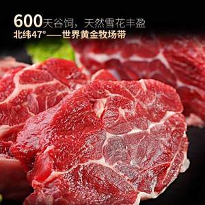 元盛 龙江和牛 原切牛腱子肉1kg*2件