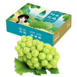 京匠 香印青提 阳光玫瑰葡萄 4.5-5斤礼盒装