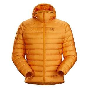 反季好價，Arc'teryx 始祖鳥 Cerium LT 男款850蓬鵝絨連帽羽絨服 S碼
