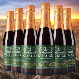 比利时进口 Lindemans 林德曼 混酿啤酒 250ml*6瓶