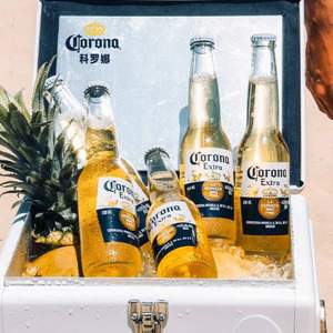 Corona 科罗娜 精酿啤酒330mL*24瓶 赠八角杯