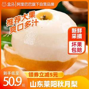 盒马鲜生 山东莱阳秋月梨 2400g 单果400g+