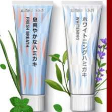 日本进口，EBISU 惠百施 植萃系列牙膏 100g*3支 赠牙刷一支