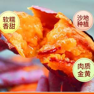 北京奥运会食材供应商，绿行者 山东烟薯25号红心蜜薯 中果 5斤