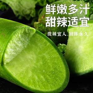 綠色認(rèn)證，曙光 正宗天津沙窩蘿卜水果5斤