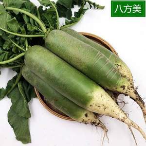 八方美 寿光新鲜水果萝卜 5斤