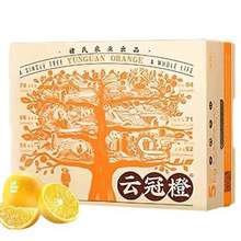 褚氏农业 云冠橙 特级果10斤（单果约175g-210g） 礼盒装*2件