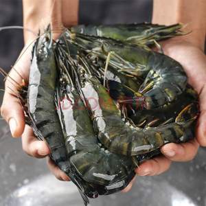 鮮京采 北?；顑龊诨⑽r（大號(hào)31-40只）凈重1kg