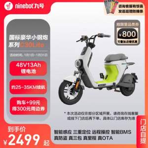 Ninebot 九号 C30Lite 智能电动车 TDT029Z