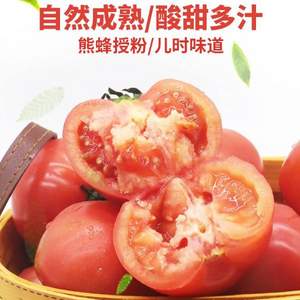 绿行者旗下，哪咤豆豆 普罗旺斯沙瓤西红柿番茄 5斤