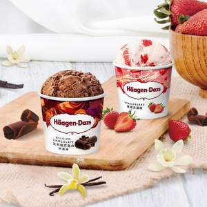 H?agen·Dazs 哈根達(dá)斯 巧克力味冰淇淋 473ml/392g*2杯