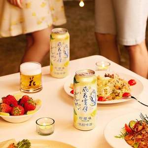 Carlsberg 嘉士伯 风花雪月特酿啤酒 500ml*12罐