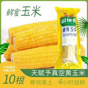 四小时锁鲜，园侬鲜 真空包装东北糯玉米 220g*10支