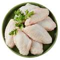 圣农 白羽鸡单冻鸡翅中 1.5kg 赠圣农肉多多炒饭300g