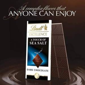 Lindt 瑞士莲 海盐特级黑巧克力100g*12排（共1.2kg）