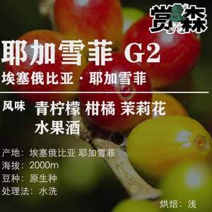 赏森 埃塞俄比亚 耶加雪菲 G2 水洗咖啡豆 200g