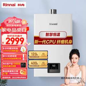 Plus会员，Rinnai 林内 恒温系列 JSQ31-GD31 强排式燃气热水器 16L