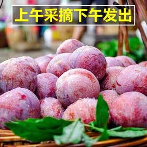 果急達 正宗四川五月脆脫骨李子 5斤