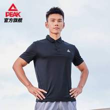 Peak 匹克 2023年夏季新款男士短袖翻領POLO衫 DF622351