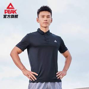 Peak 匹克 2023年夏季新款男士短袖翻領(lǐng)POLO衫 DF622351