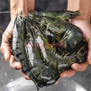 鲜京采 精选单冻黑虎虾（大号31-40只）净重1kg
