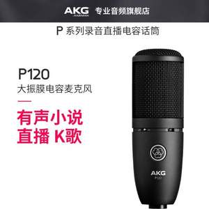 AKG 爱科技 P120 大振膜电容麦克风