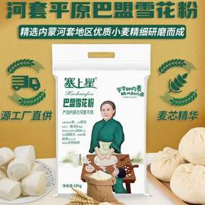 產(chǎn)自河套平原，塞上星 巴盟中筋雪花粉 5KG裝