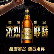 Budweiser 百威 美式拉格黑金啤酒 玻璃瓶 600mL*12瓶