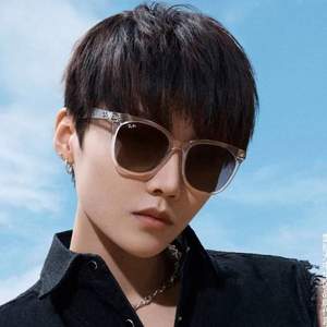 Ray-Ban 雷朋 刘雨昕同款 中性款太阳镜 RB4379D