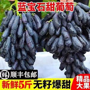 阿树尚 蓝宝石金手指葡萄 大果 精选4斤装