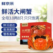 去绳足重，死蟹包赔，鲜京采 大闸蟹 全母3.0两 4对8只礼盒