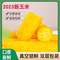 輕松作物 真空鎖鮮黃糯玉米200g*8穗