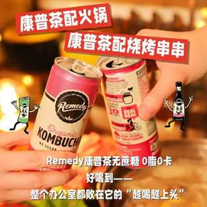 澳大利亚进口，Remedy 悦蔓蒂 康普茶 250mL*17罐  多口味