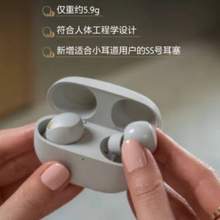 SONY 索尼 WF-1000XM5 主動降噪 真無線藍牙耳機