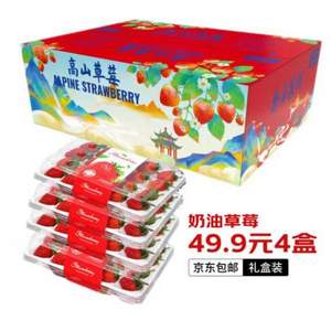 粮心牧场 四川大凉山牛奶草莓 中果 4盒/约2.3斤