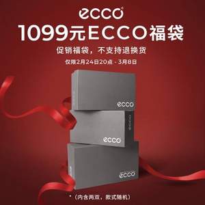 ECCO 爱步 男鞋限量福袋2双装