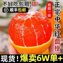 誉福园 湖北秭归脐橙 中华红血橙 4斤（单果65-70mm）