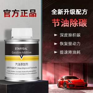 STAYREAL 汽油添加剂/燃油宝100mL