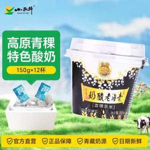 小西牛 青海藏之宝青稞黑米谷物老酸奶 150g*12碗 