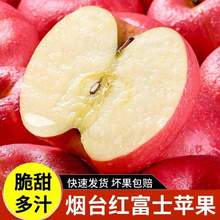 A股上市企业，宏辉果蔬 盒马同款 烟台红富士苹果5斤（果径80-85mm）