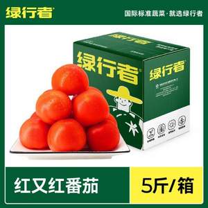 綠行者 紅又紅紅番茄 5斤裝