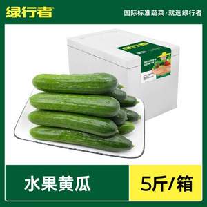 绿行者 荷兰水果黄瓜 5斤