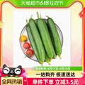 <span>白菜！</span>天猫超市 山东寿光新鲜水果小黄瓜 净重5斤