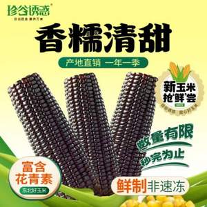 珍谷诱惑 非转基因 黑糯玉米8支×200g