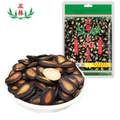 正林 2A小可爱西瓜子 250g*2袋