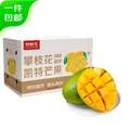 京鮮生 攀枝花凱特芒果 4.5斤/單果400g起