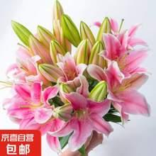 京喜鲜花  混色香水百合3~5枝 共10个花苞 